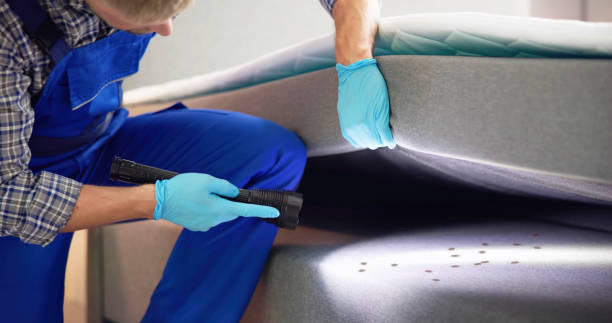 Best Best Pest Control Companies  in Weidman, MI